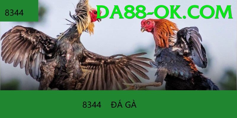 Trường Đấu Đá Gà Chuyên Nghiệp - Game 3D